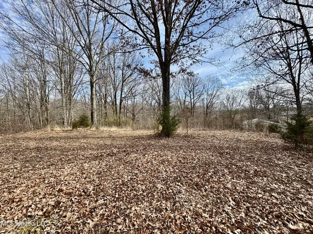 $49,900 | 0 Tolbert Road, Coldwater, MS 38618