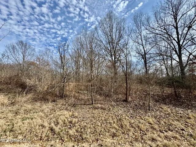 $49,900 | 0 Tolbert Road, Coldwater, MS 38618