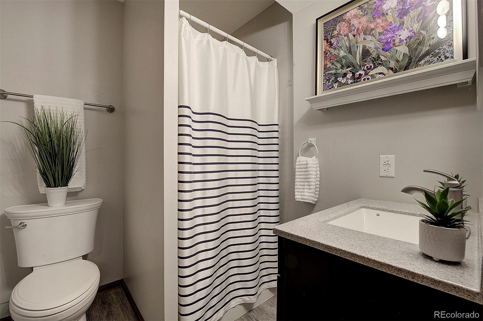29659 Spruce Road Evergreen, CO 80439 - Photo 32 of 38 a bathroom with a toilet a sink and mirror