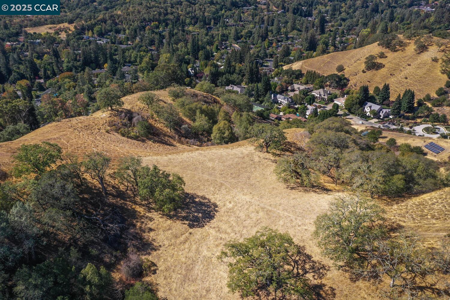 1240 Monticello Road Lafayette, CA 94549 - Photo 21 of 38 a view of a backyard of a house