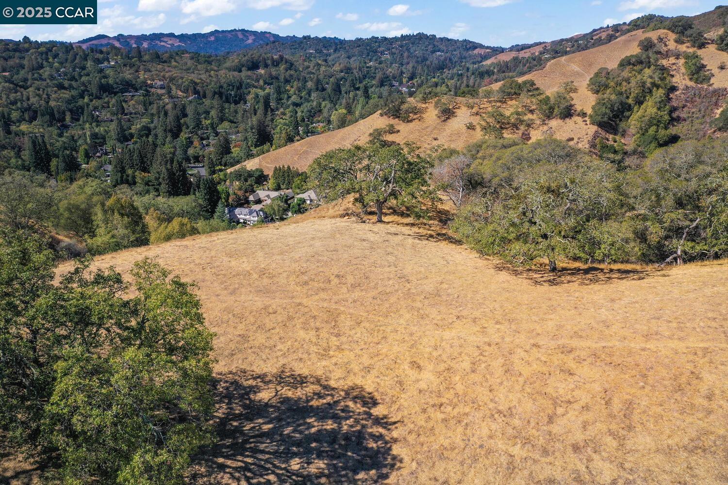 1240 Monticello Road Lafayette, CA 94549 - Photo 24 of 38 a view of a yard with a mountain