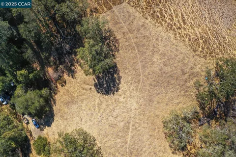 a view of a yard with trees