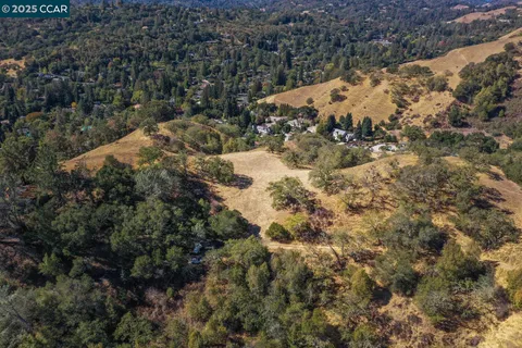 a view of a dry yard with trees