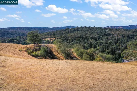 a view of a dry yard