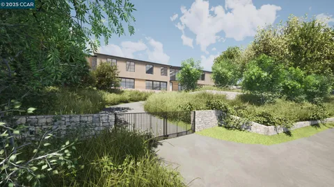 a view of a patio with plants and large trees