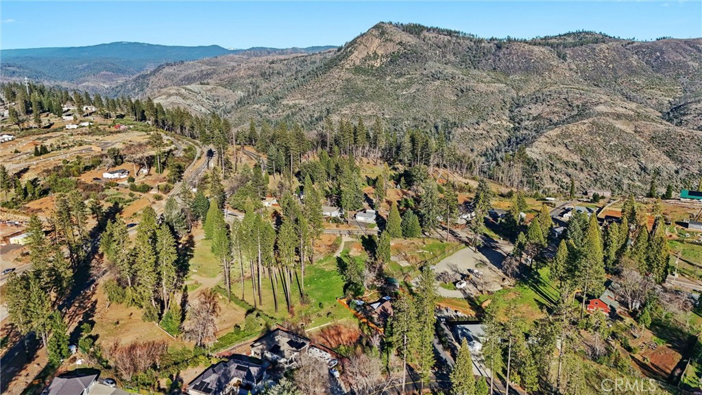 1639 Gate Paradise, CA 95969 - Photo 16 of 20 a view of a field with a tree