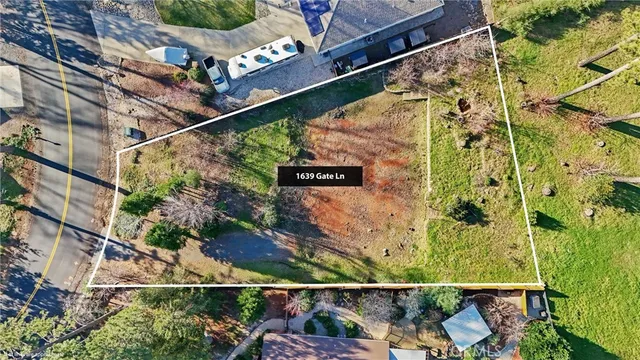 a view of a yard with trees