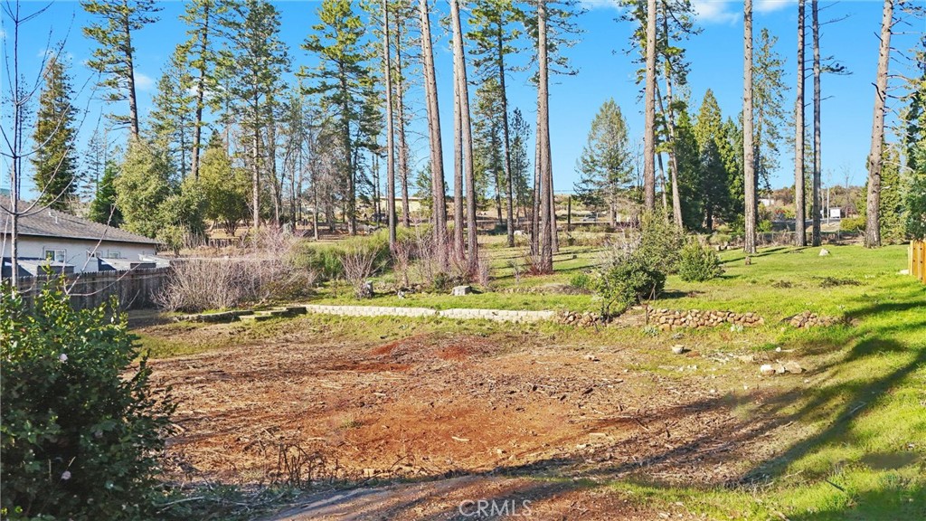 1639 Gate Paradise, CA 95969 - Photo 3 of 20 a view of a yard with trees