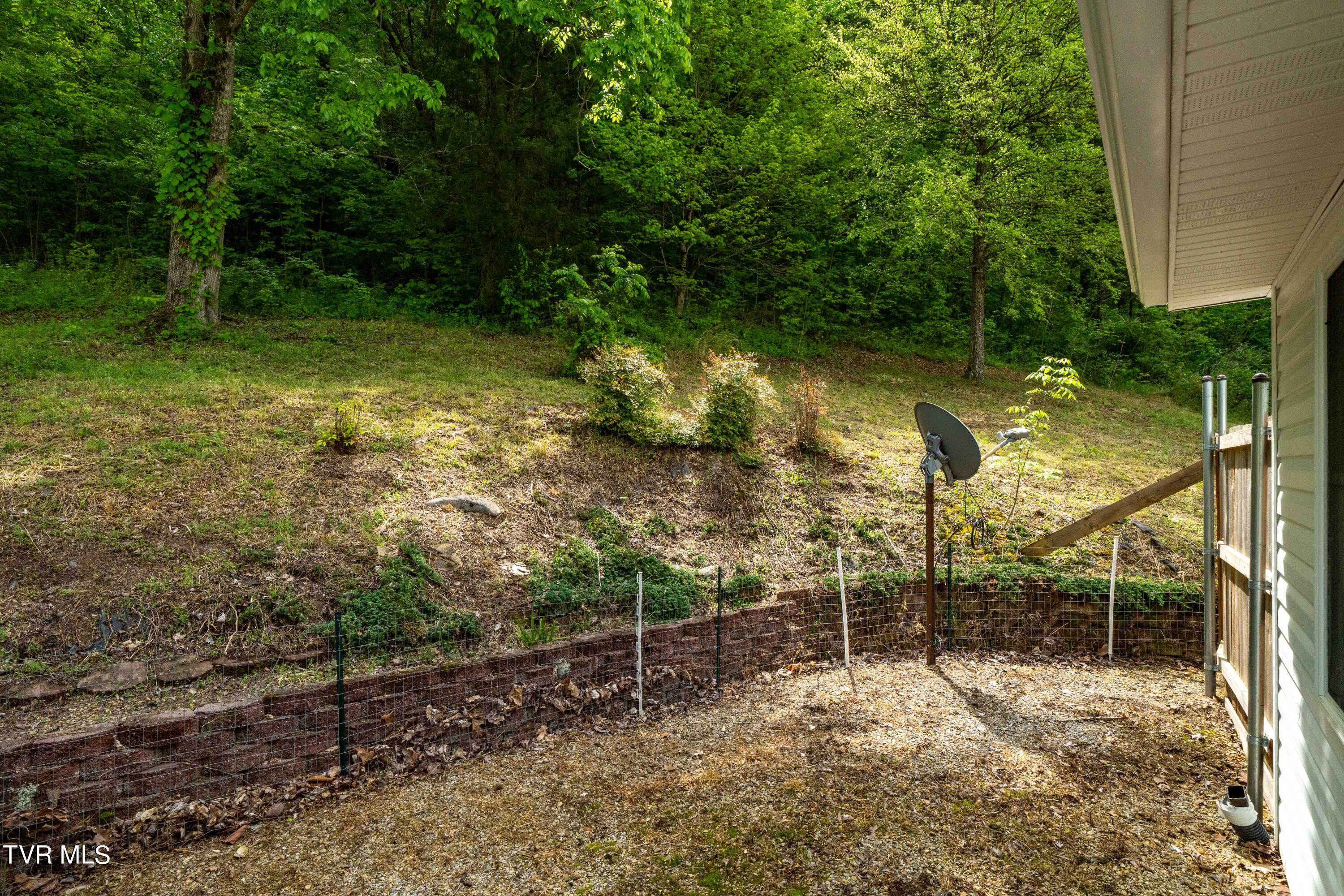 800 Belle Road Chuckey, TN 37641 - Photo 39 of 70 800 Belle Rd (40 of 70)