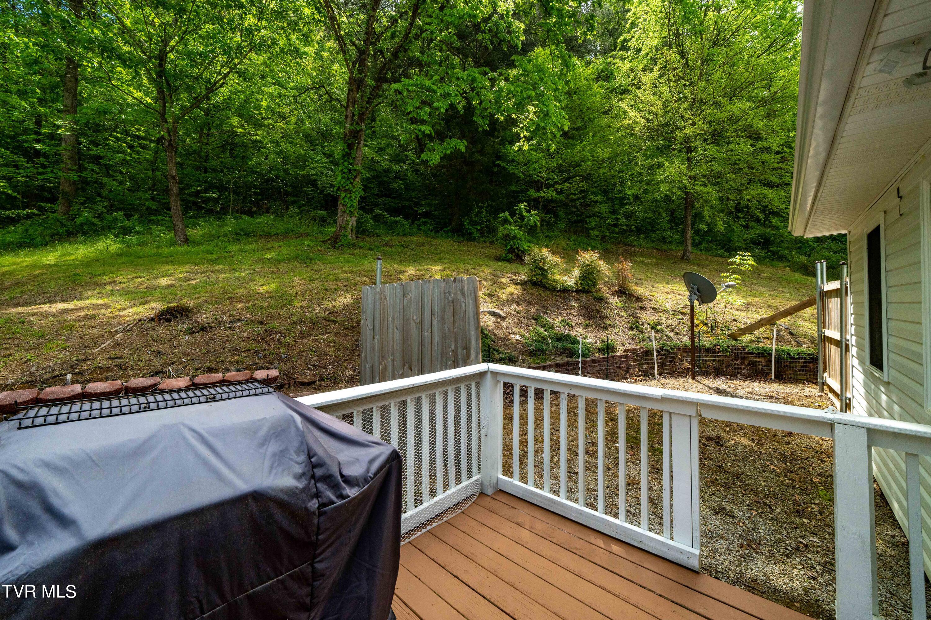 800 Belle Road Chuckey, TN 37641 - Photo 41 of 70 800 Belle Rd (38 of 70)