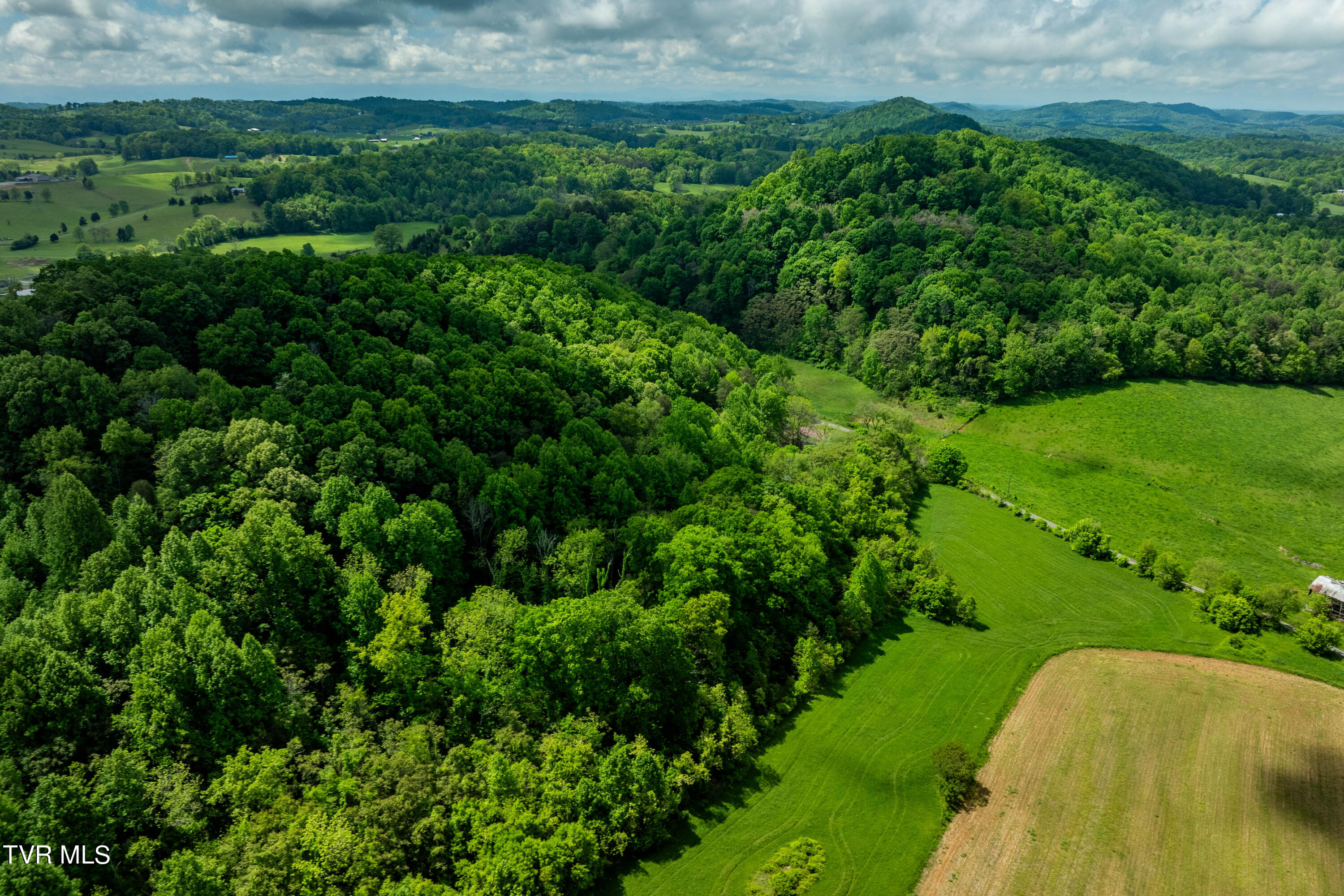 800 Belle Road Chuckey, TN 37641 - Photo 63 of 70 800 Belle Rd (8 of 70)