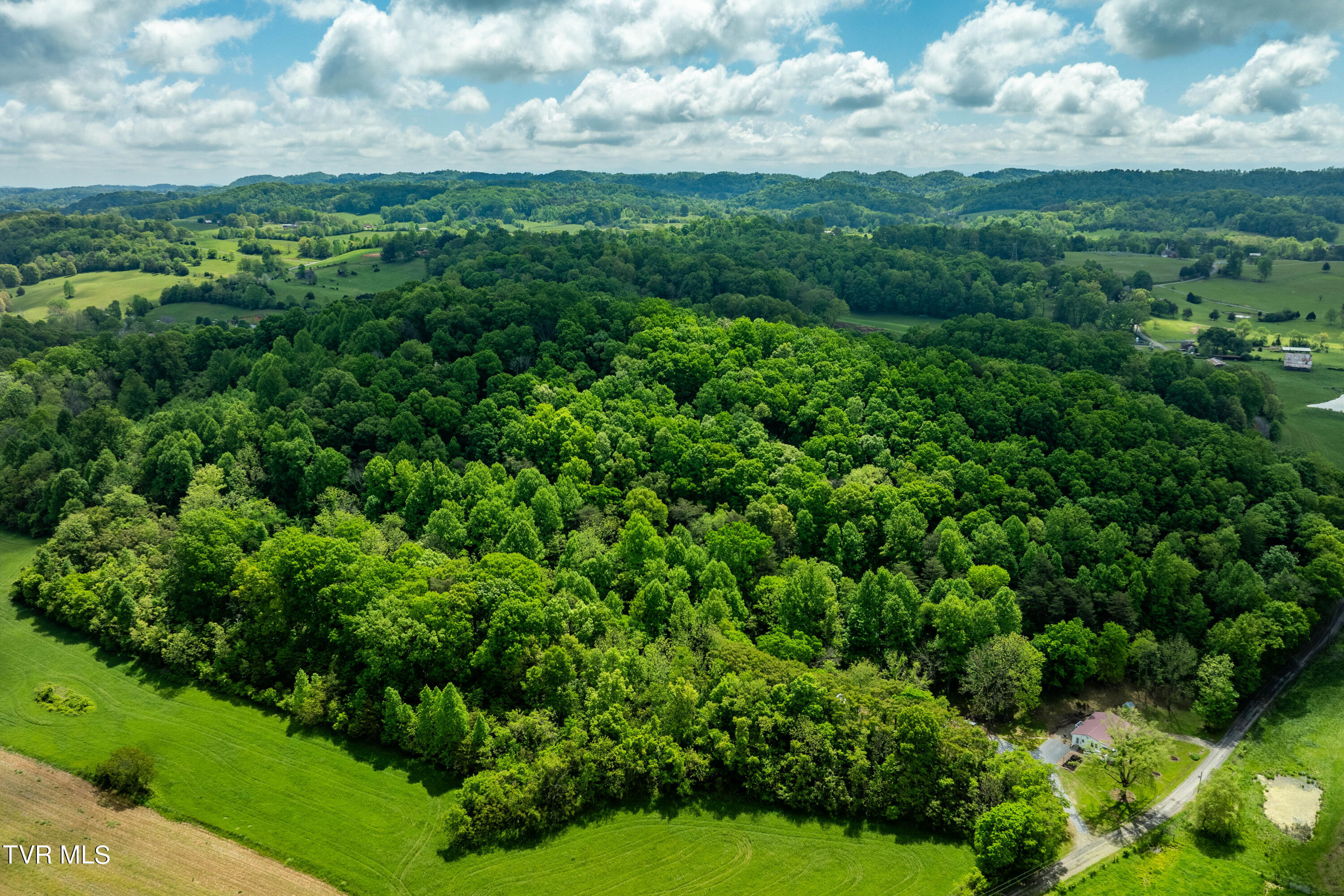 800 Belle Road Chuckey, TN 37641 - Photo 64 of 70 800 Belle Rd (7 of 70)