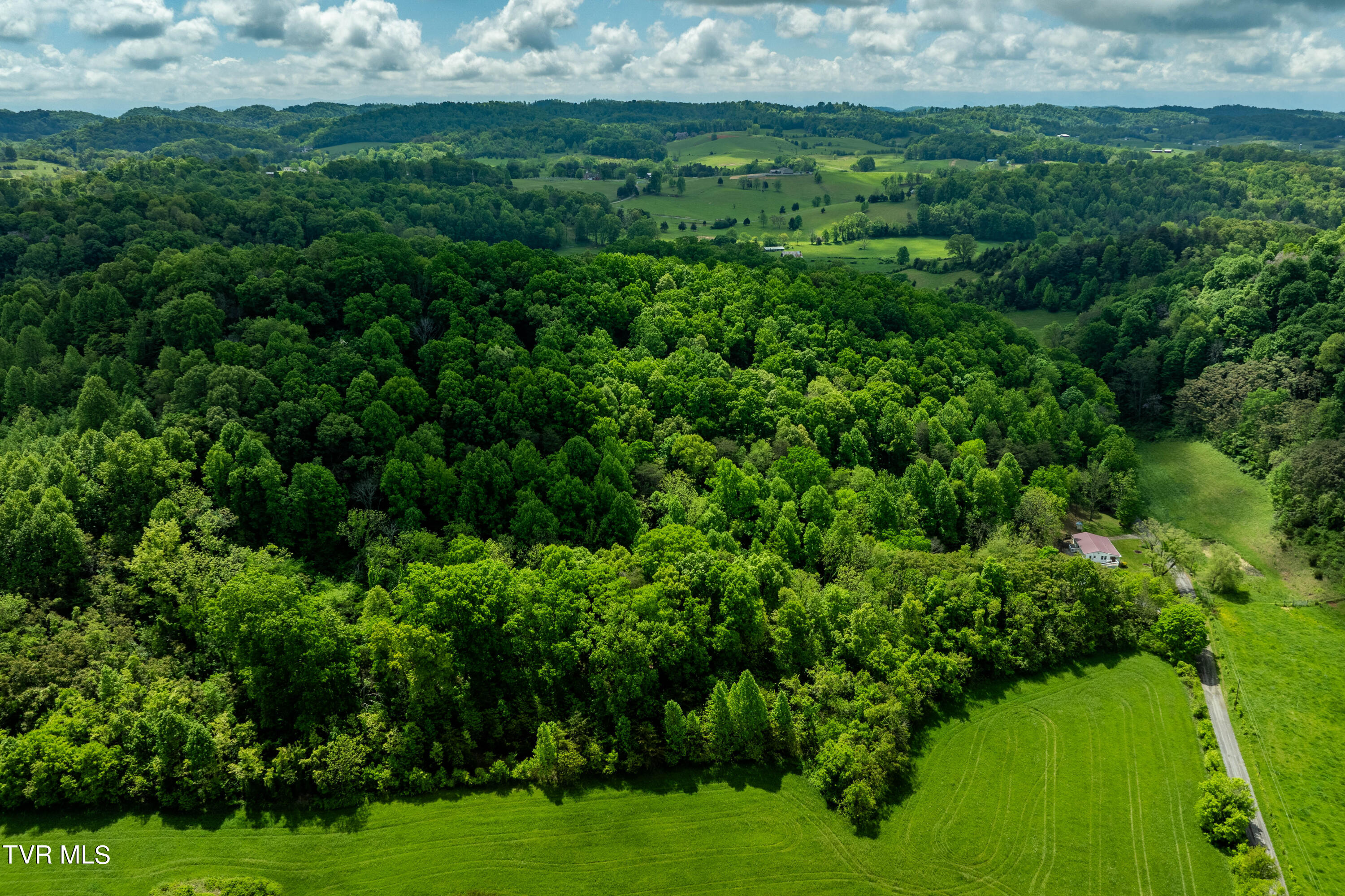 800 Belle Road Chuckey, TN 37641 - Photo 67 of 70 800 Belle Rd (4 of 70)