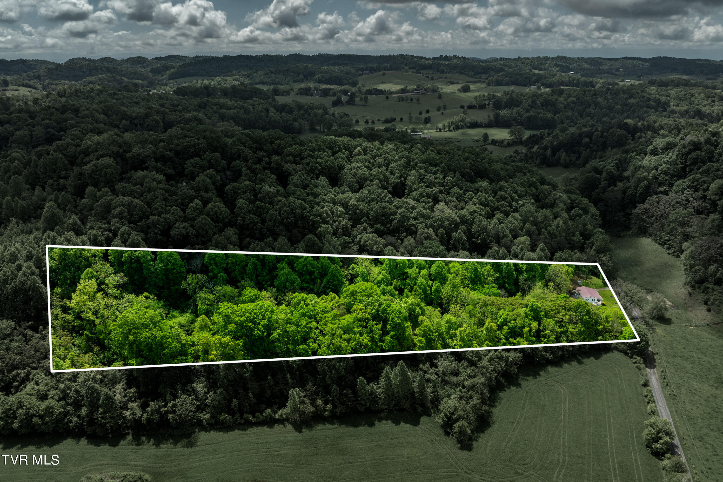 800 Belle Road Chuckey, TN 37641 - Photo 68 of 70 800 Belle Rd (3 of 70)