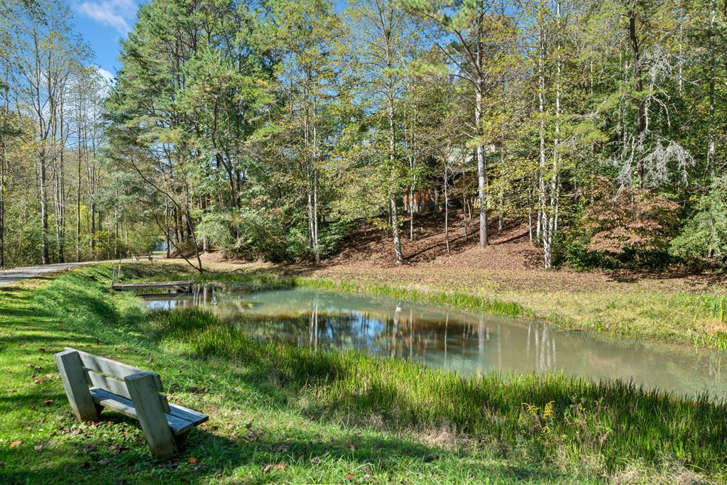 140 Ridge Road Ellijay, GA 30540 - Photo 36 of 39 Gallery Image 36