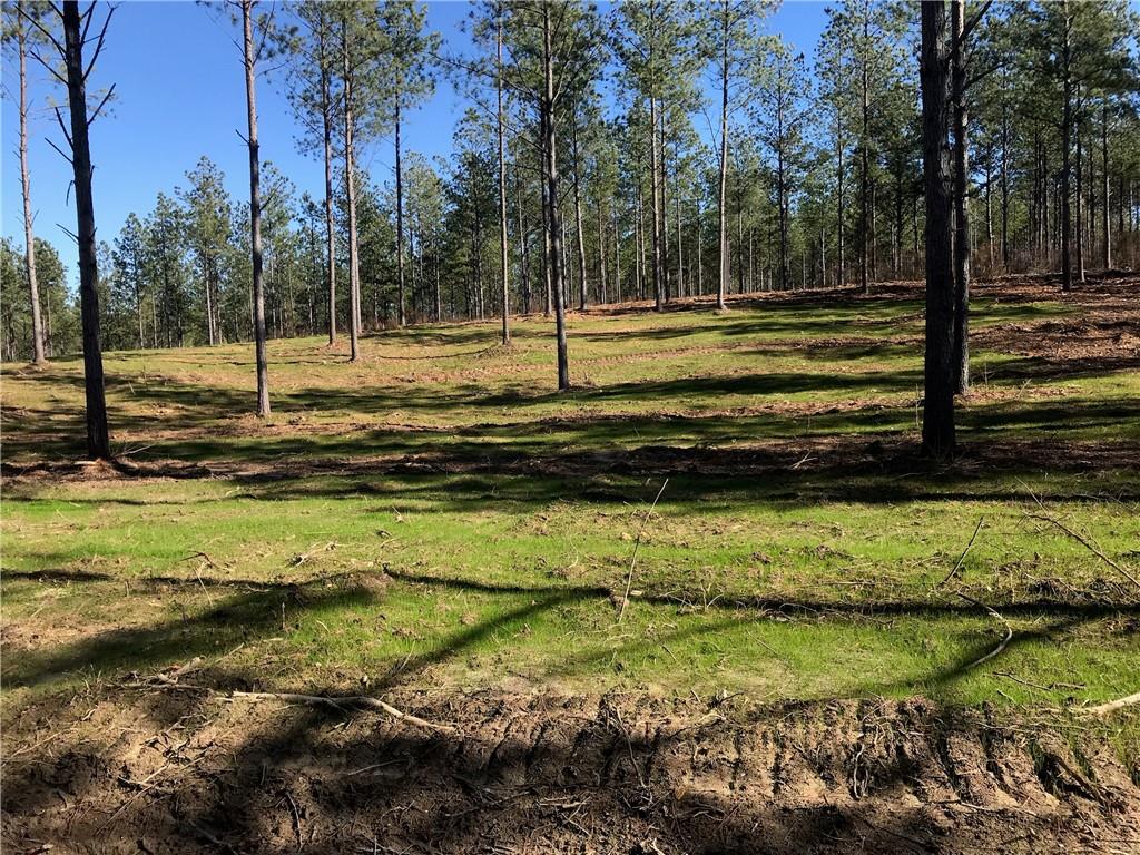 F Zuker Road Rockmart, GA 30153 - Photo 1 of 1