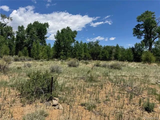 $18,900 | Lot 21 Alamosa River Lane, La Jara, CO 81140