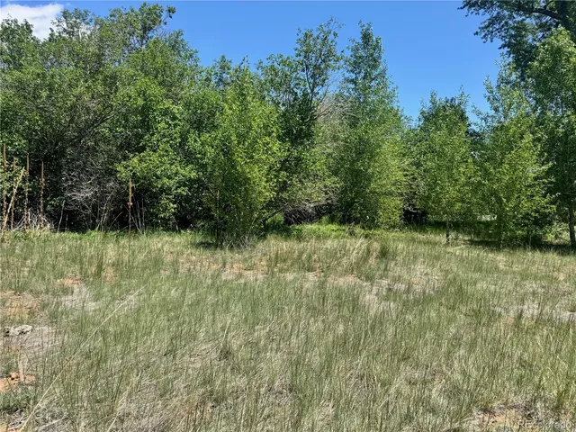 $18,900 | Lot 21 Alamosa River Lane, La Jara, CO 81140