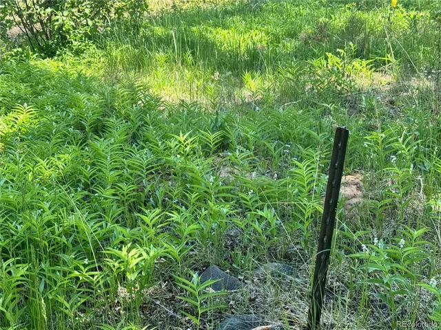 $18,900 | Lot 21 Alamosa River Lane, La Jara, CO 81140