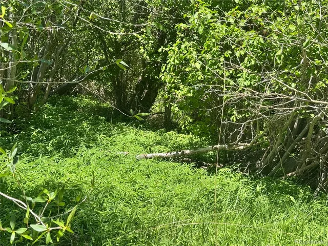 $18,900 | Lot 21 Alamosa River Lane, La Jara, CO 81140