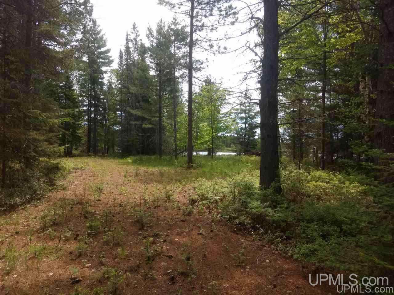 Tbd Rice Landing Road, Unit 13 Lake Linden, MI 49945 - Photo 6 of 35