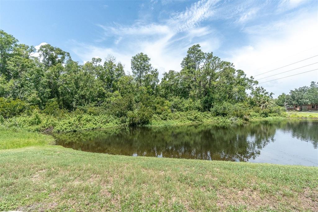 106 Cutlass Way Oldsmar, FL 34677 - Photo 21 of 22