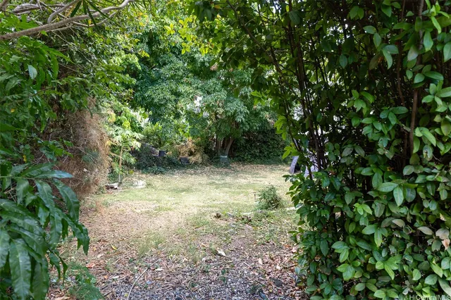 a view of backyard with green space
