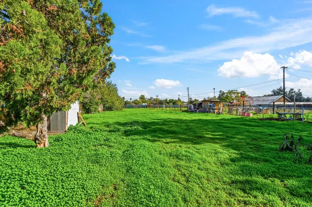a view of a green field