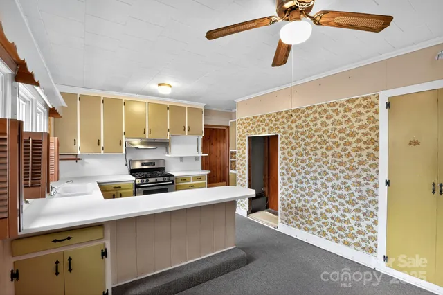 a kitchen with a stove a sink and a refrigerator