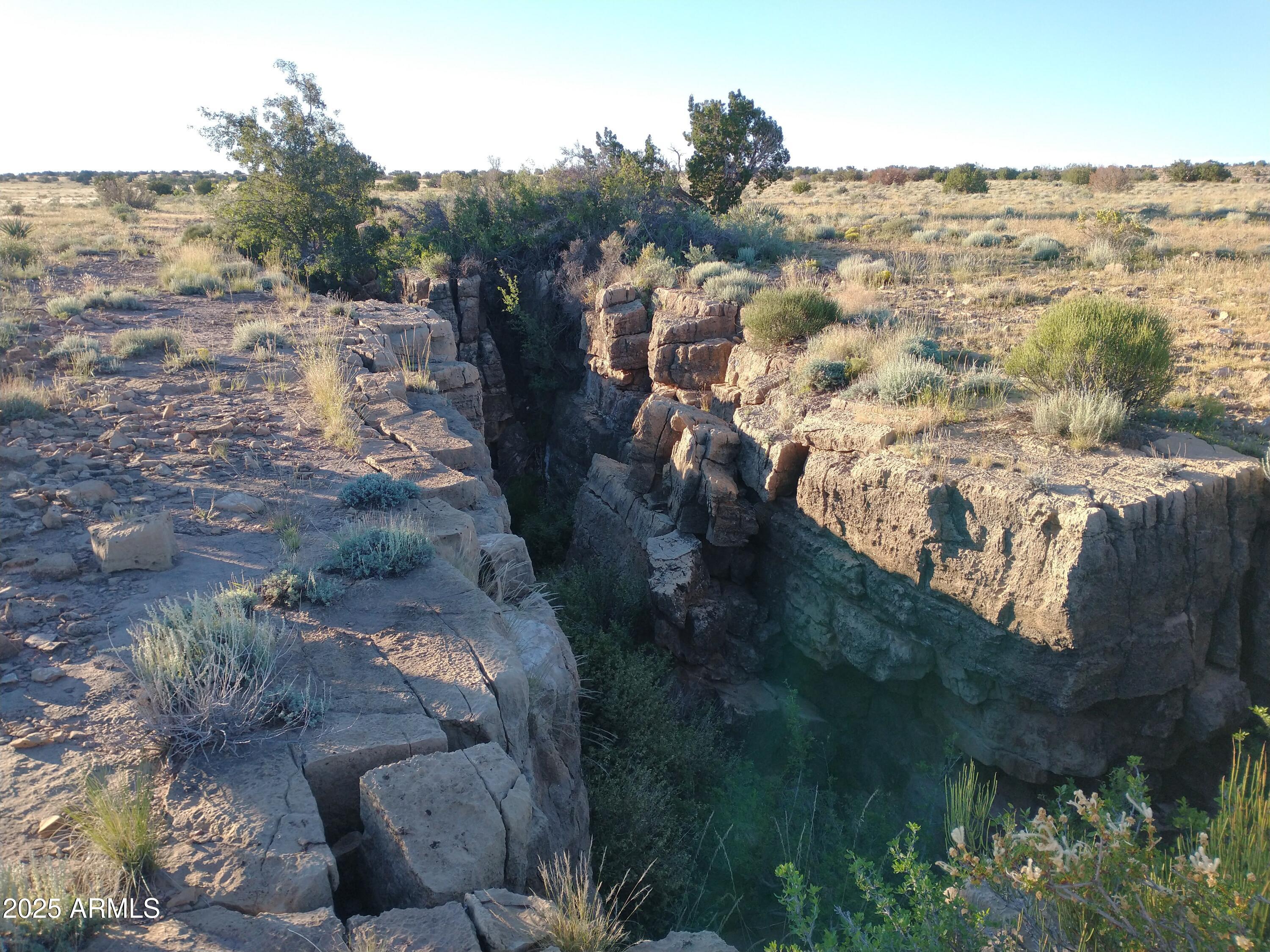 IMG_20220925_070641879