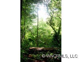 5 Pale Morning Road, Unit 5 Brevard, NC 28712 - Photo 2 of 2 Gallery Image 2