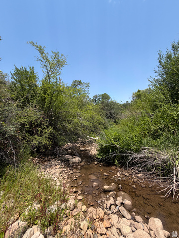 785 Hardscrabble Road Morgan, UT 84050 - Photo 2 of 16 Natural water feature with a rocky bed, surrounded by abundant green foliage and mature trees under a clear blue sky