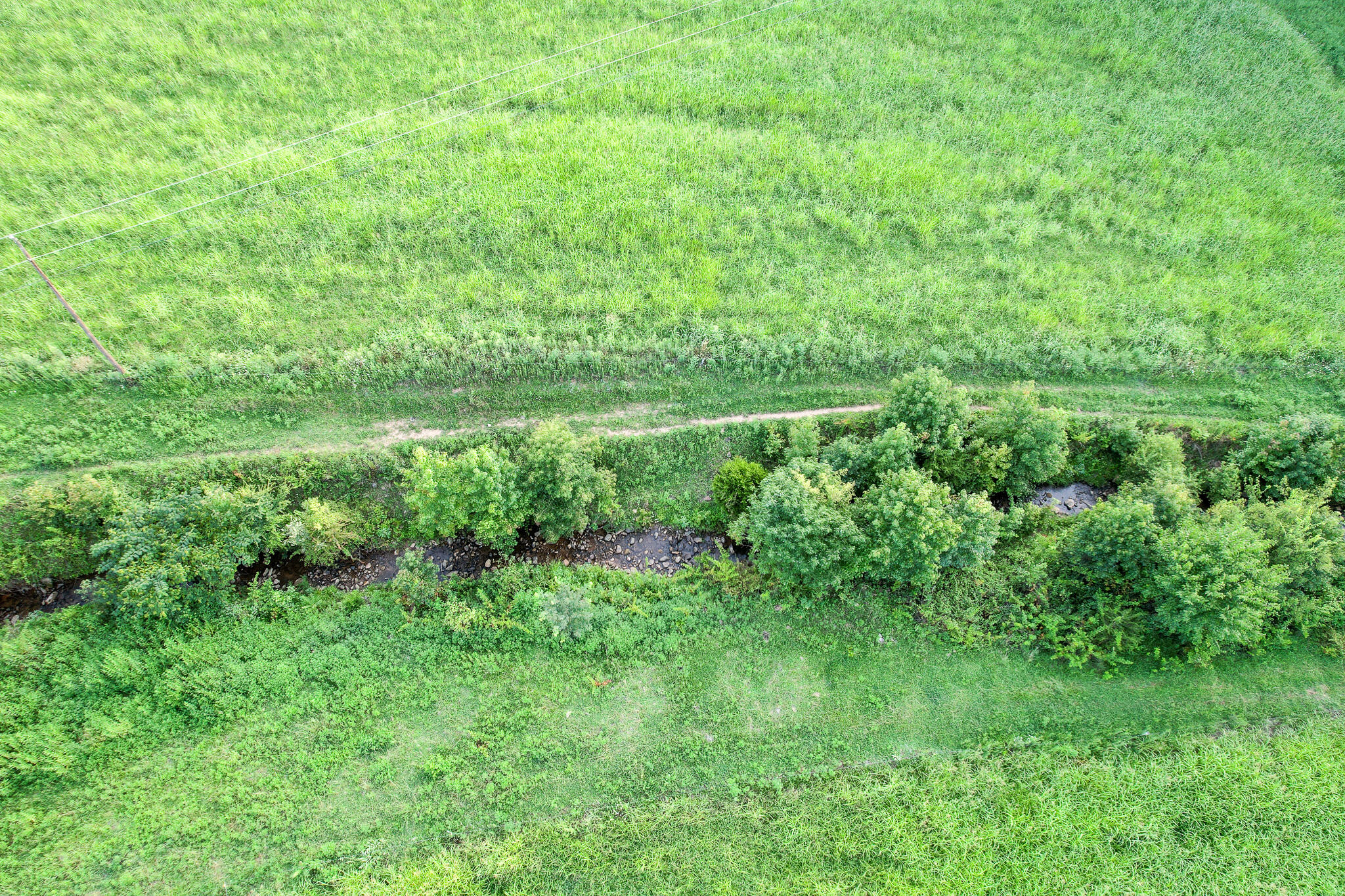 004.0 Kitchen Branch Road Greeneville, TN 37743 - Photo 11 of 16 DJI_0517