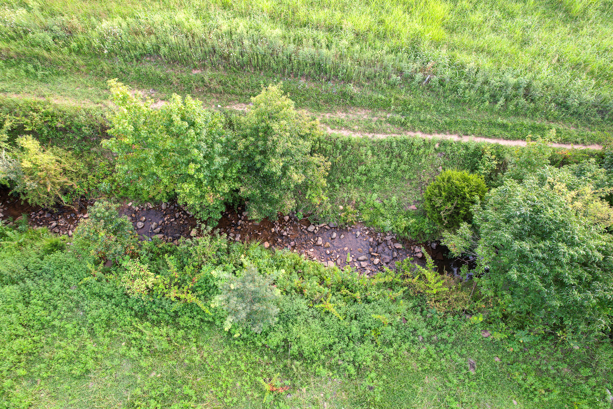 004.0 Kitchen Branch Road Greeneville, TN 37743 - Photo 13 of 16 DJI_0525