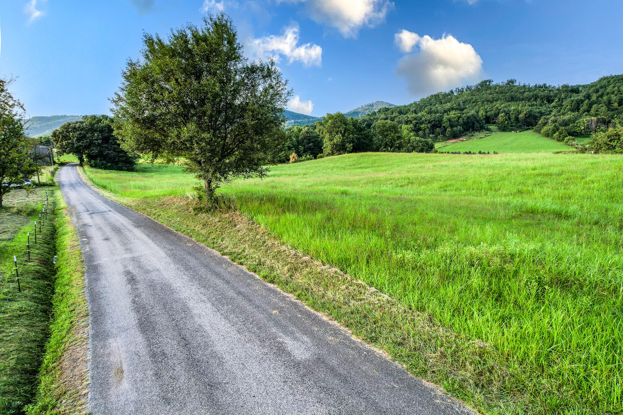004.0 Kitchen Branch Road Greeneville, TN 37743 - Photo 2 of 16 DJI_0485-Edit