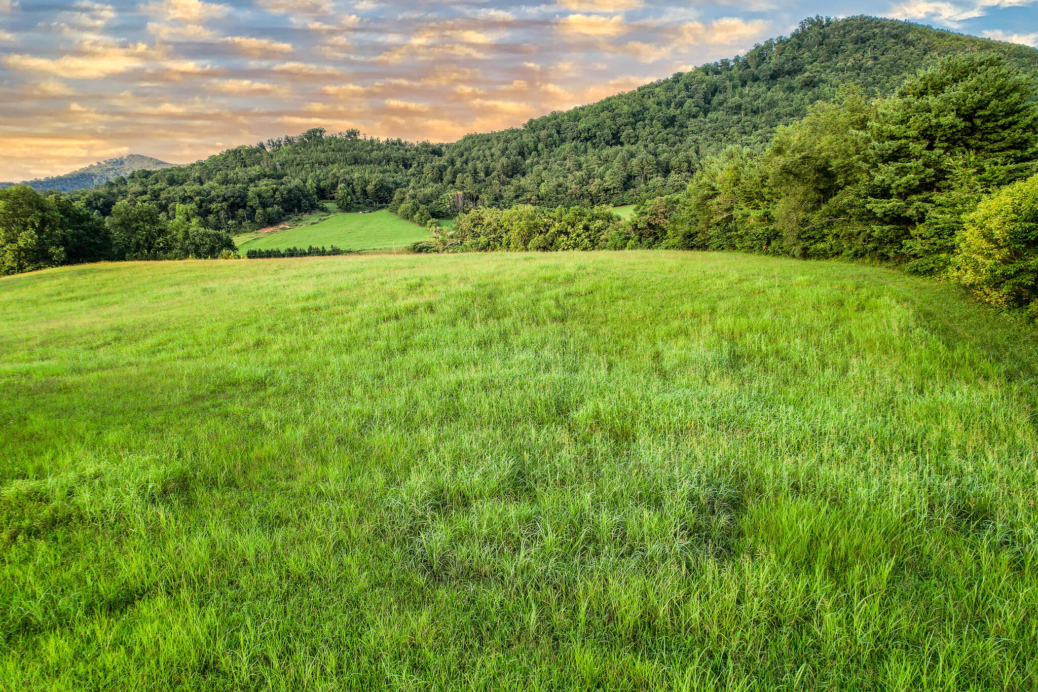 004.0 Kitchen Branch Road Greeneville, TN 37743 - Photo 3 of 16 DJI_0488-Edit