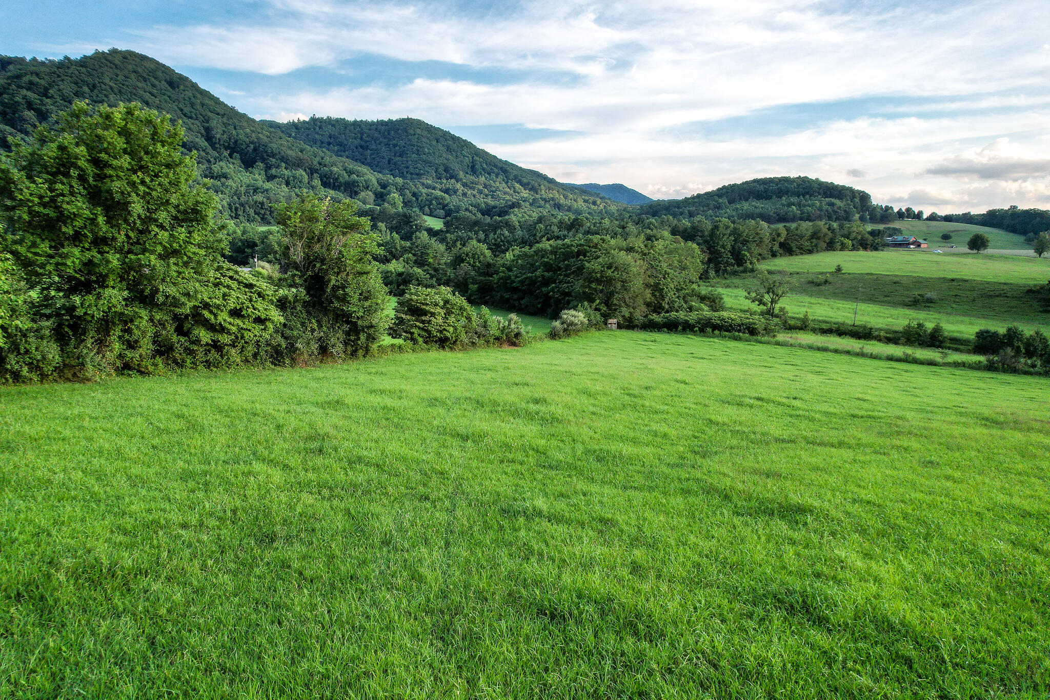 004.0 Kitchen Branch Road Greeneville, TN 37743 - Photo 8 of 16 DJI_0512