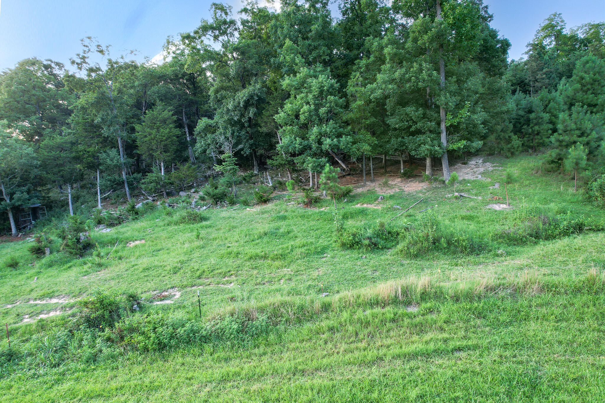 004.0 Kitchen Branch Road Greeneville, TN 37743 - Photo 9 of 16 DJI_0513-Edit