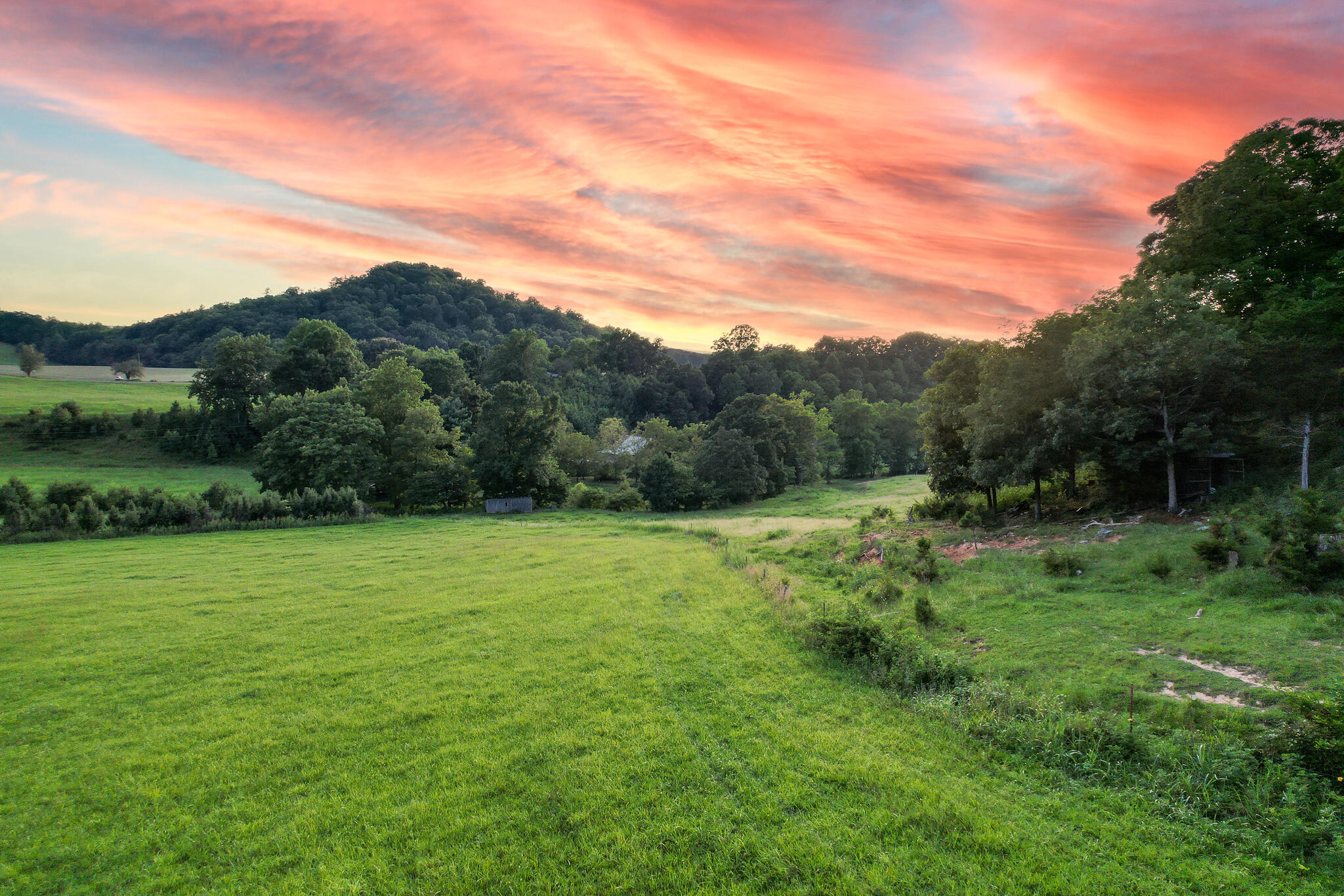 004.0 Kitchen Branch Road Greeneville, TN 37743 - Photo 10 of 16 DJI_0514-Edit