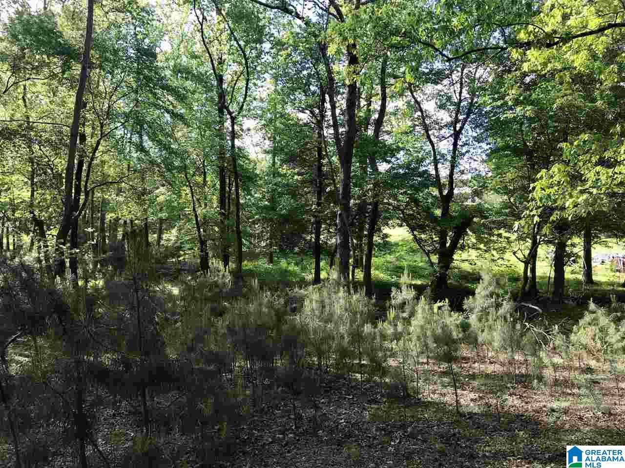 0 Steele Gap Road North, Unit 11 4 Steele, AL 35987 - Photo 15 of 26