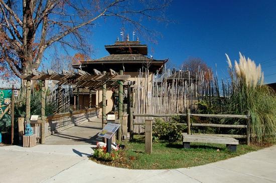 62 North Crest Road Chattanooga, TN 37404 - Photo 50 of 60 Chattanooga zoo