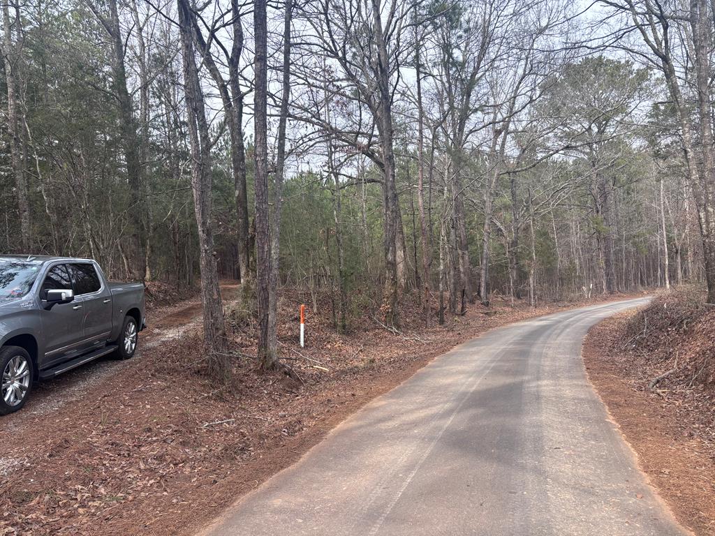 430 Oak Grove Road Talbotton, GA 31827 - Photo 26 of 33