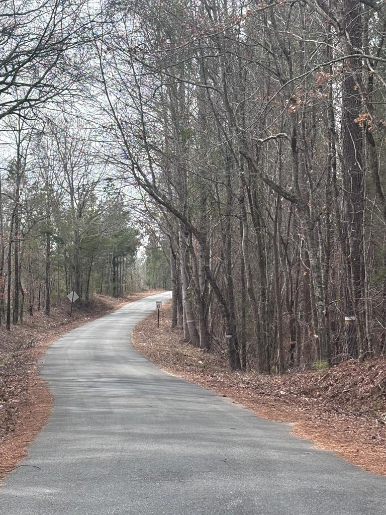 430 Oak Grove Road Talbotton, GA 31827 - Photo 27 of 33 Oak Grove Rd leading off of GA Hwy 41N