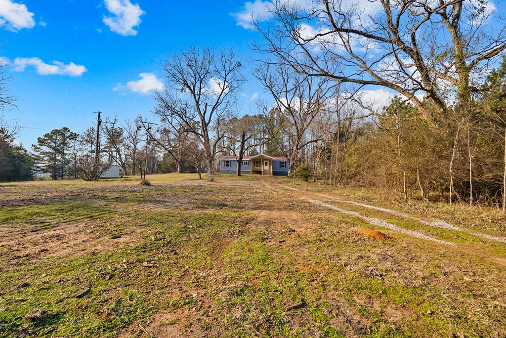 430 Oak Grove Road Talbotton, GA 31827 - Photo 28 of 33 perched on a hill surrounded by pecan trees