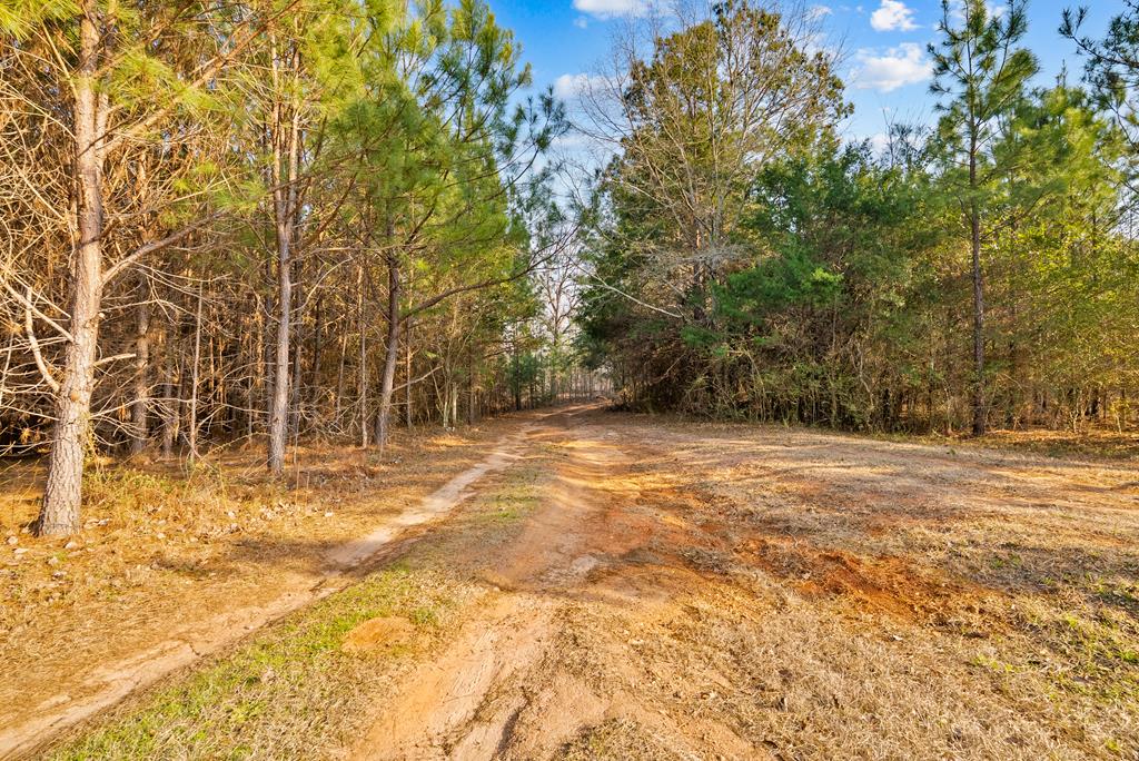 430 Oak Grove Road Talbotton, GA 31827 - Photo 29 of 33