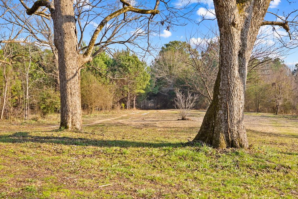 430 Oak Grove Road Talbotton, GA 31827 - Photo 30 of 33