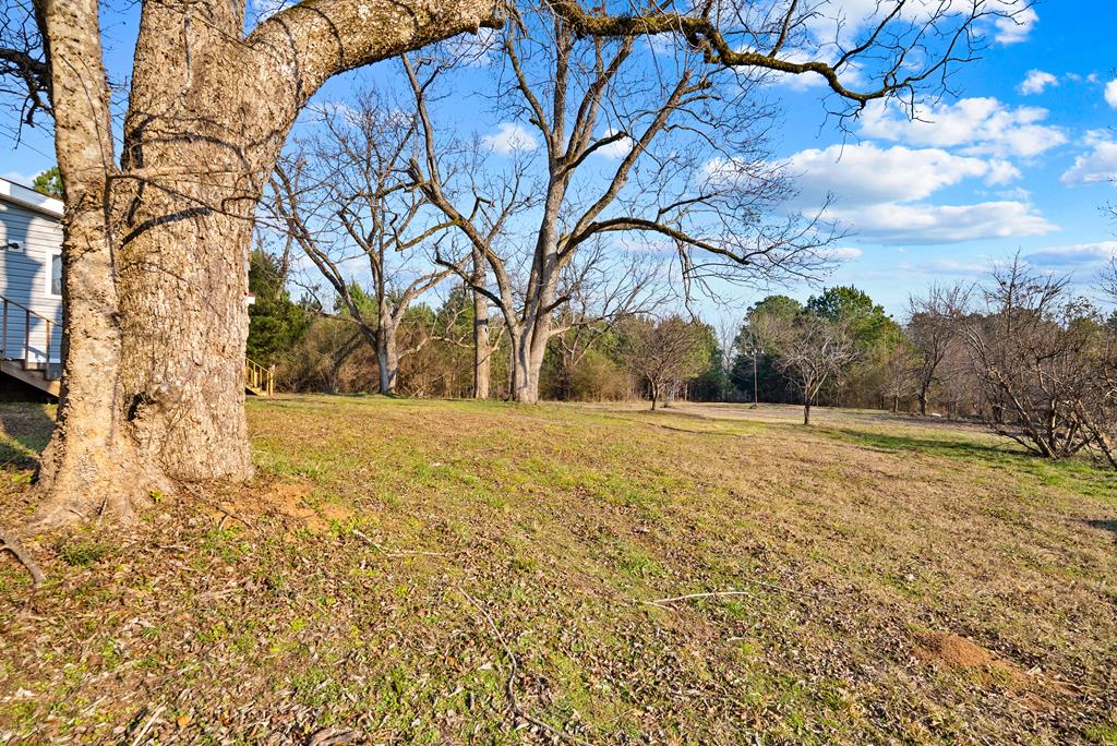 430 Oak Grove Road Talbotton, GA 31827 - Photo 33 of 33 beautiful yard w/ fruit trees, fenced areas & more