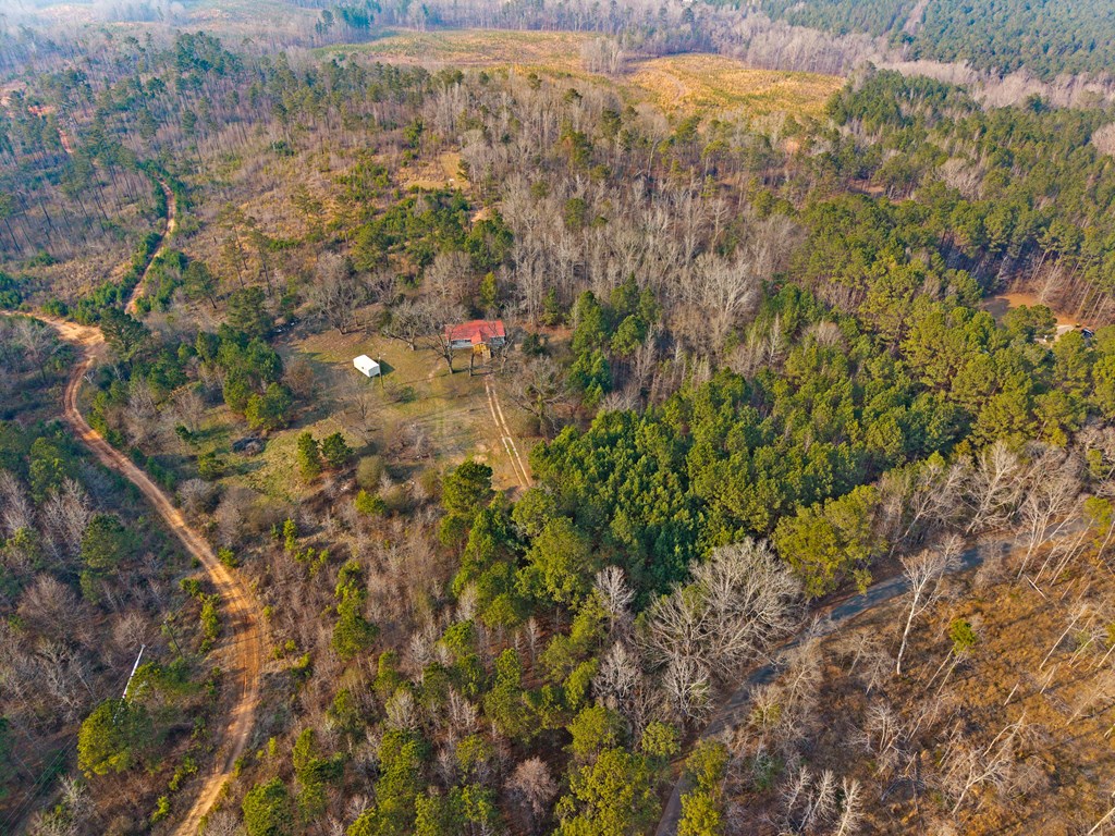 430 Oak Grove Road Talbotton, GA 31827 - Photo 8 of 33 on 7 ac, but surrounded by woodlands