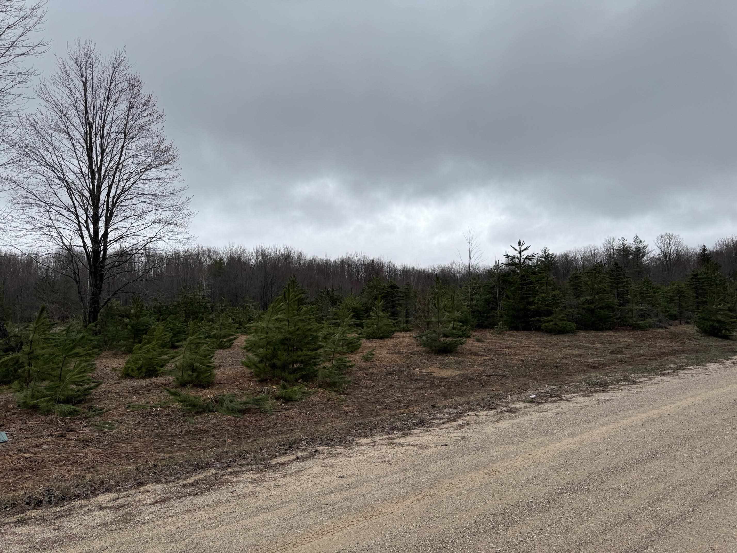 North VanderMeulen Road Lake City, MI 49651 - Photo 5 of 7