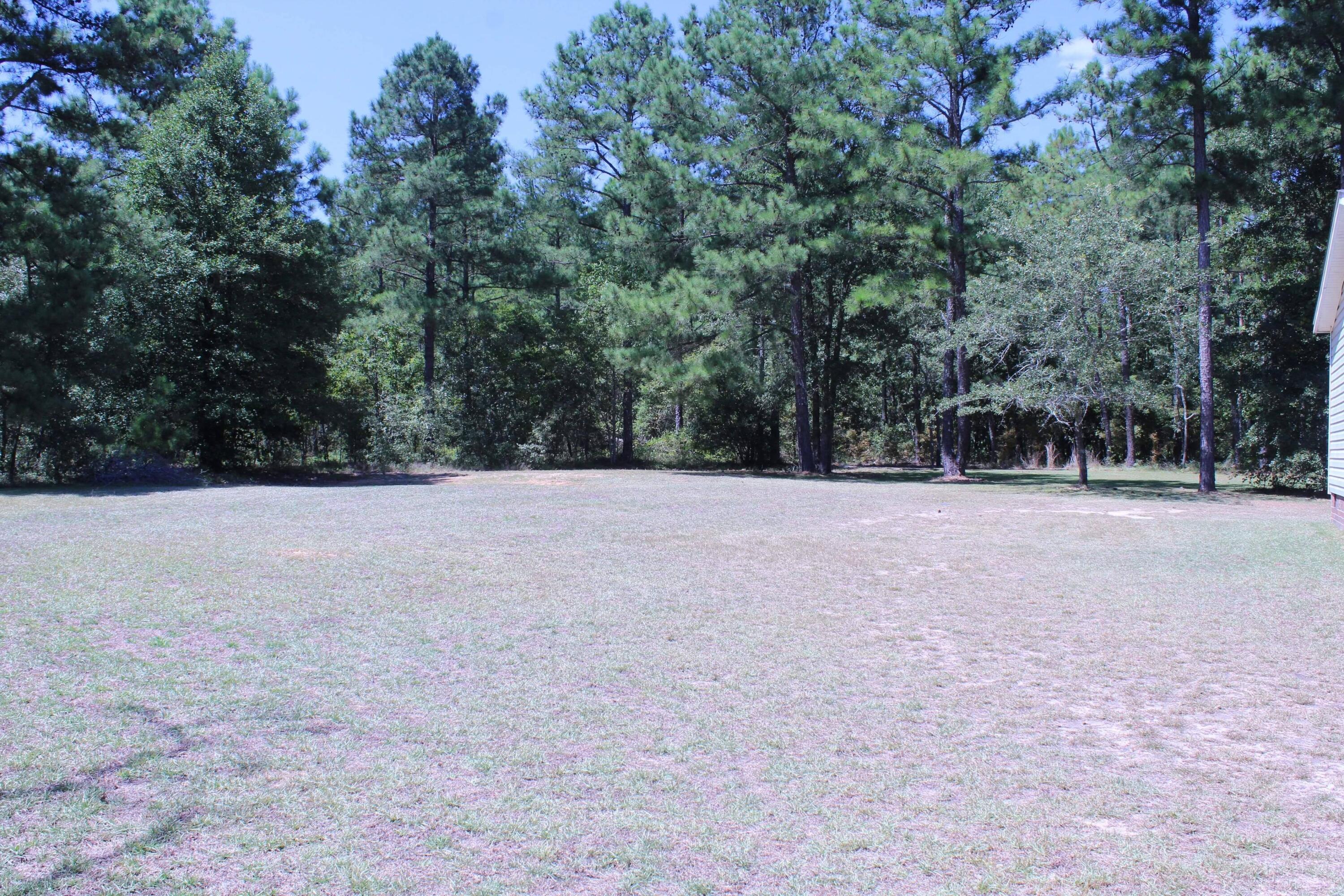 292 Sunnybrooke Road Trenton, SC 29847 - Photo 20 of 21